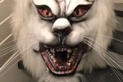 2017-01-07-18.18.03-2